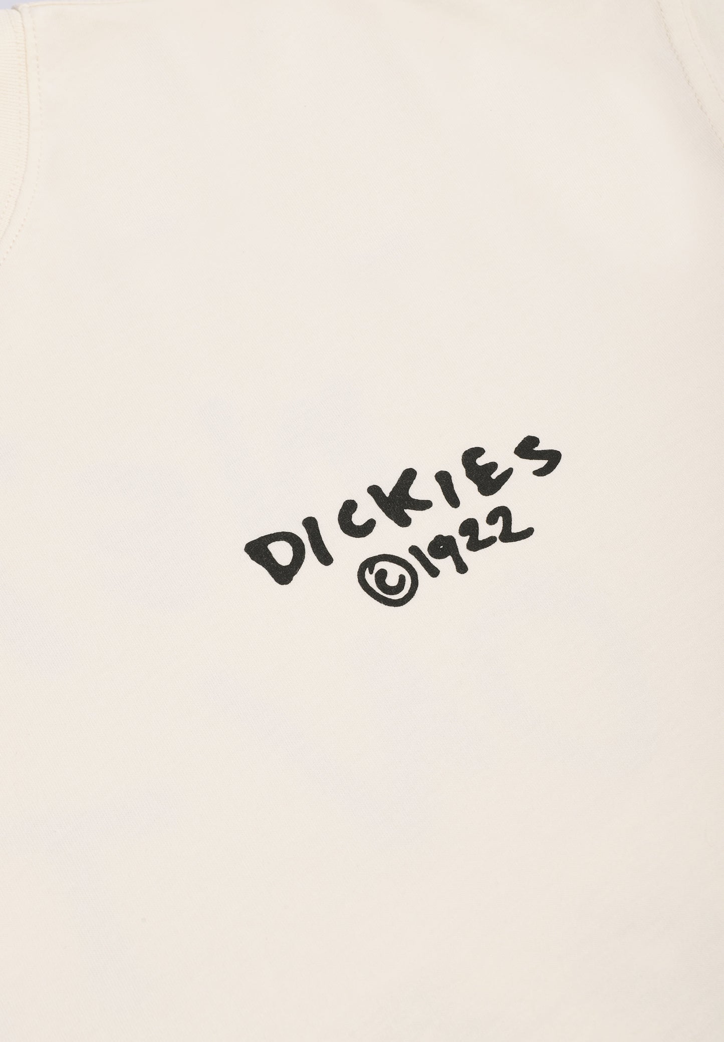 DICKIES | T-SHIRT SNEEDVILLE