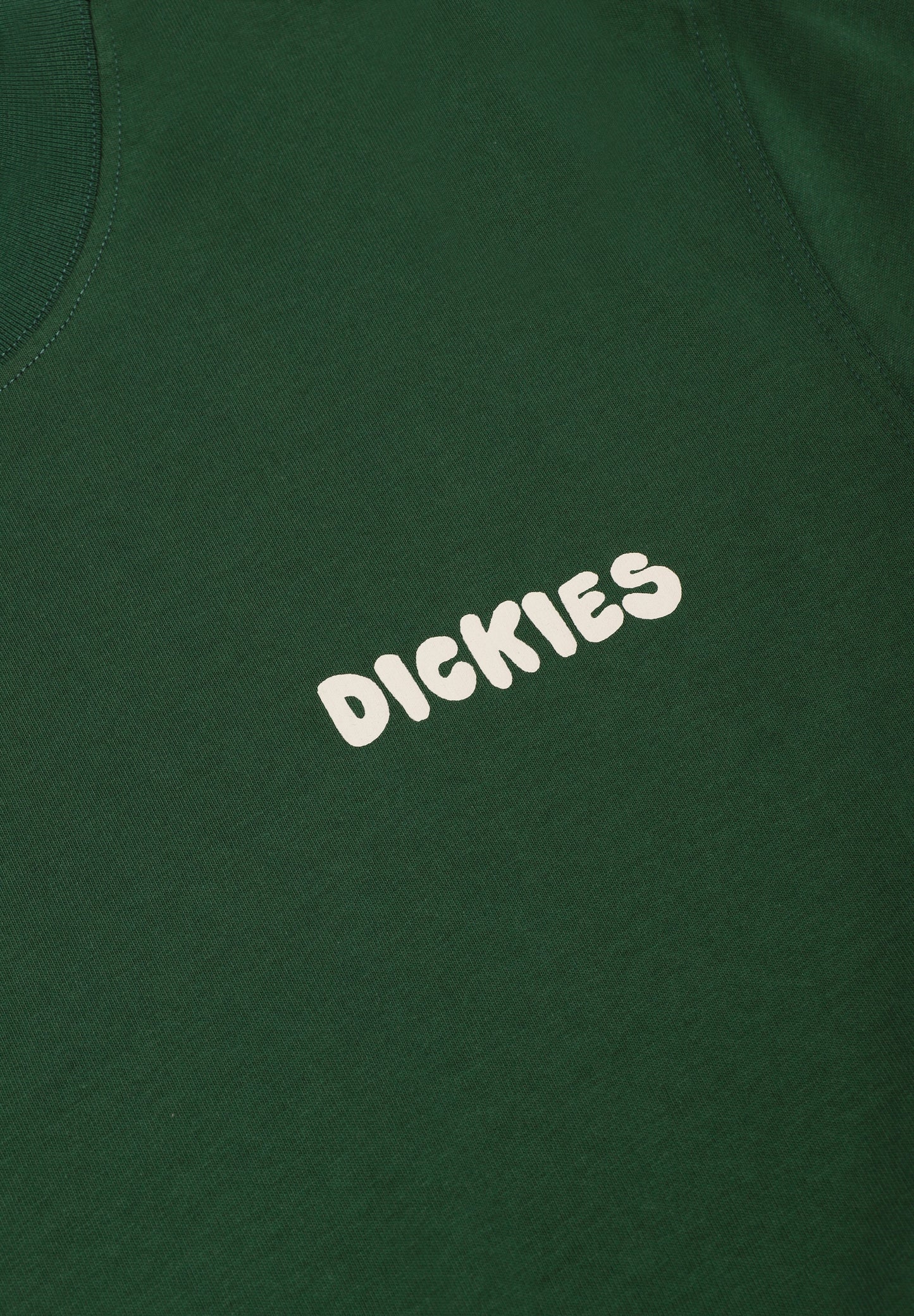 DICKIES | T-SHIRT GORDONSVILLE