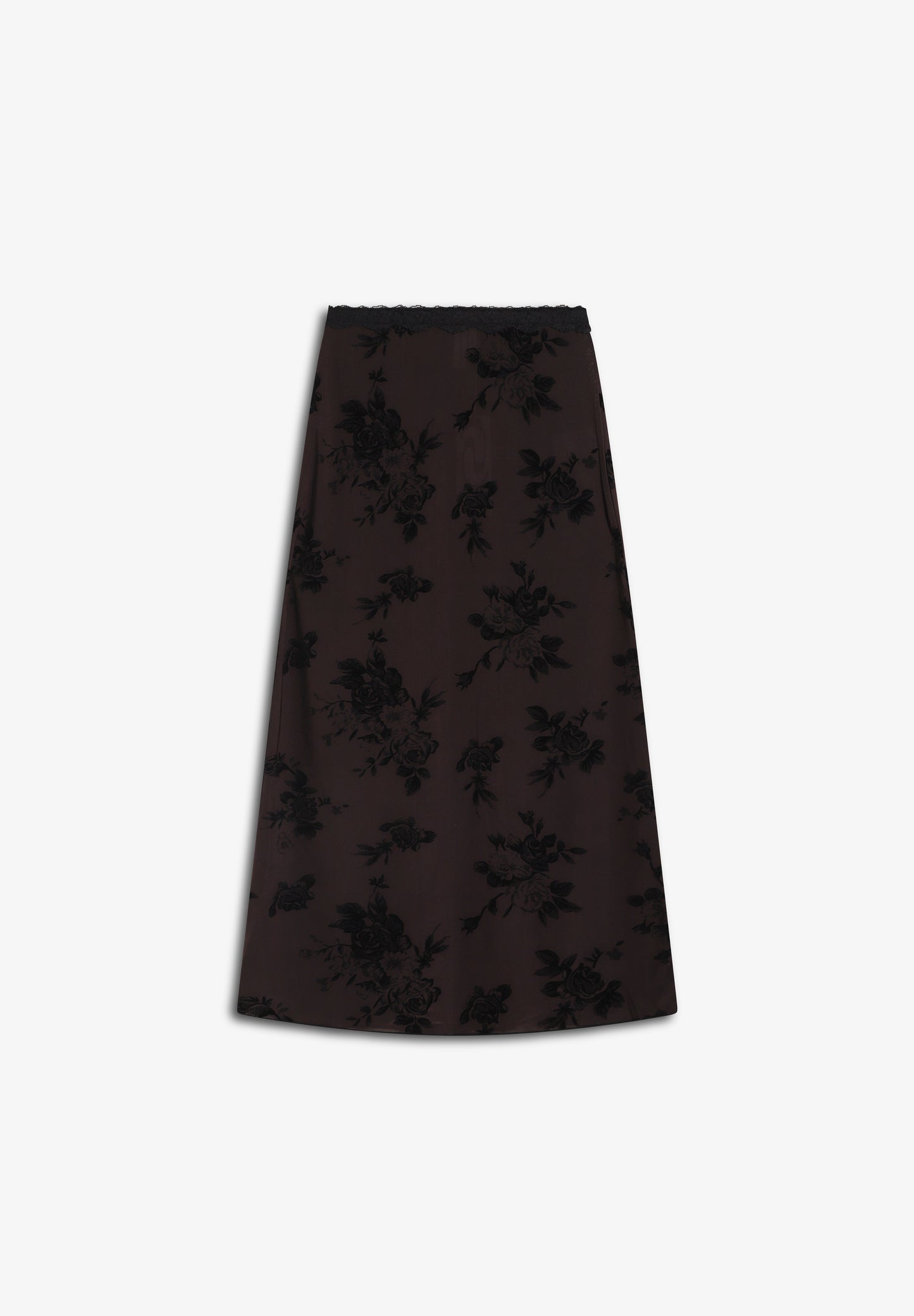 RÉSUMÉ | SAIA HOLLYRS