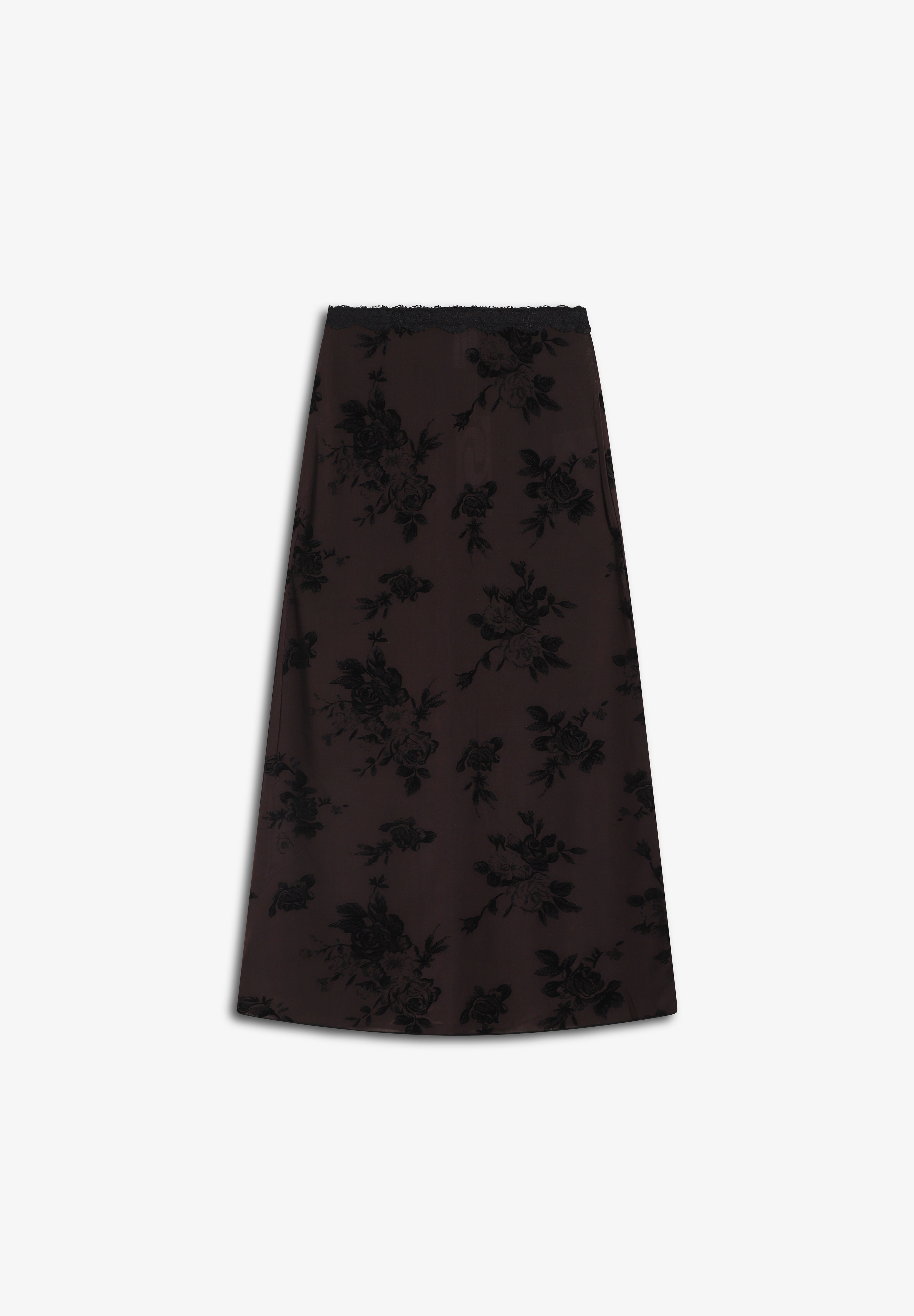 RÉSUMÉ | SAIA HOLLYRS