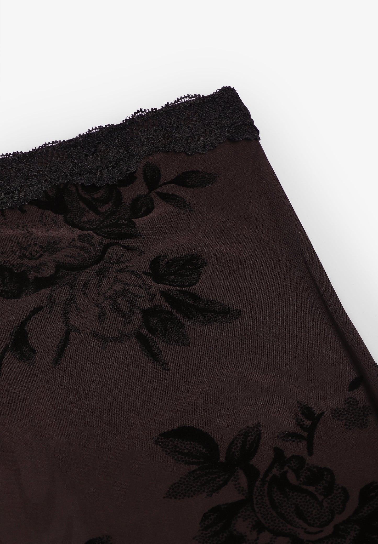 RÉSUMÉ | SAIA HOLLYRS