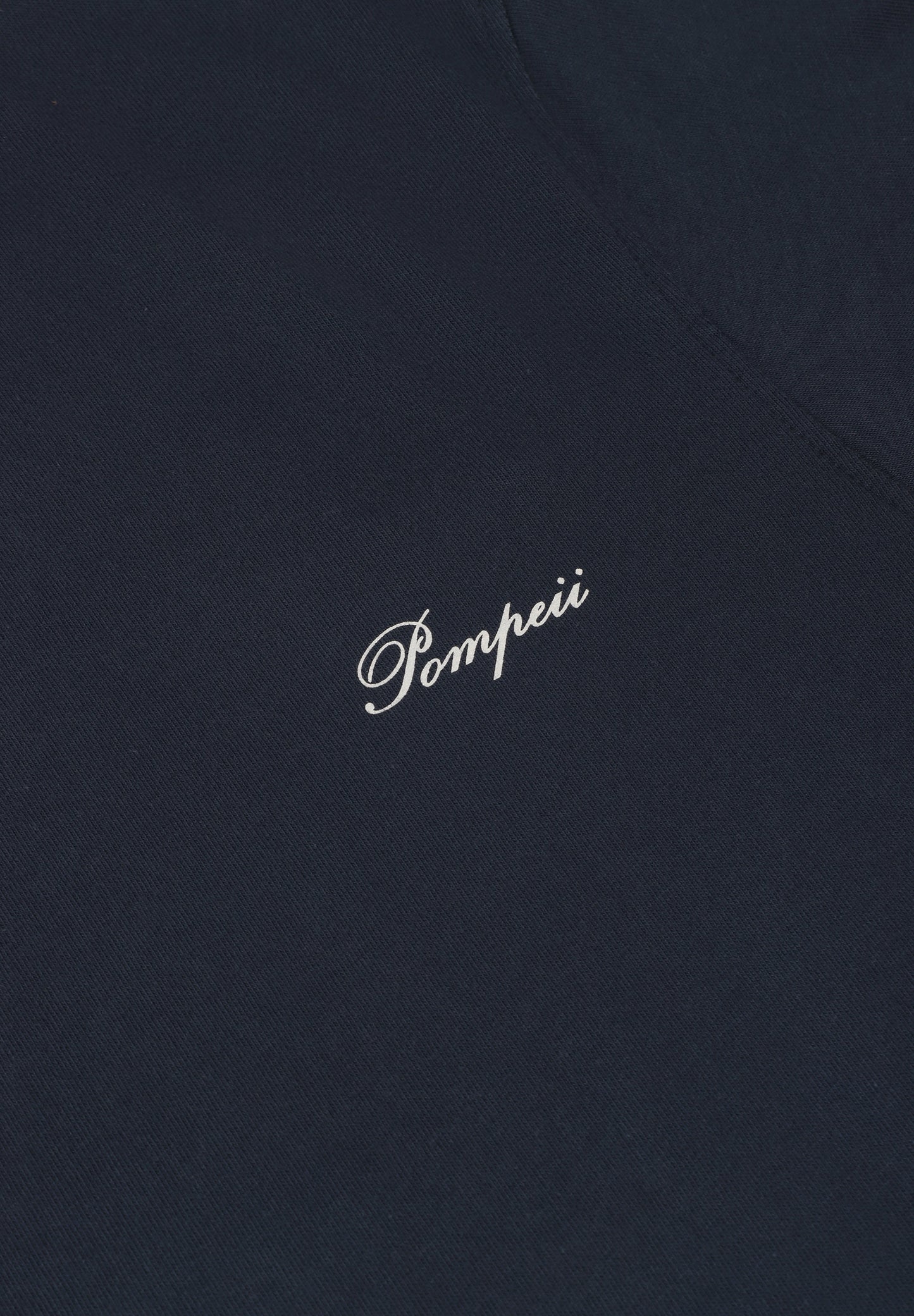 POMPEII | NAVY SWANS TEE