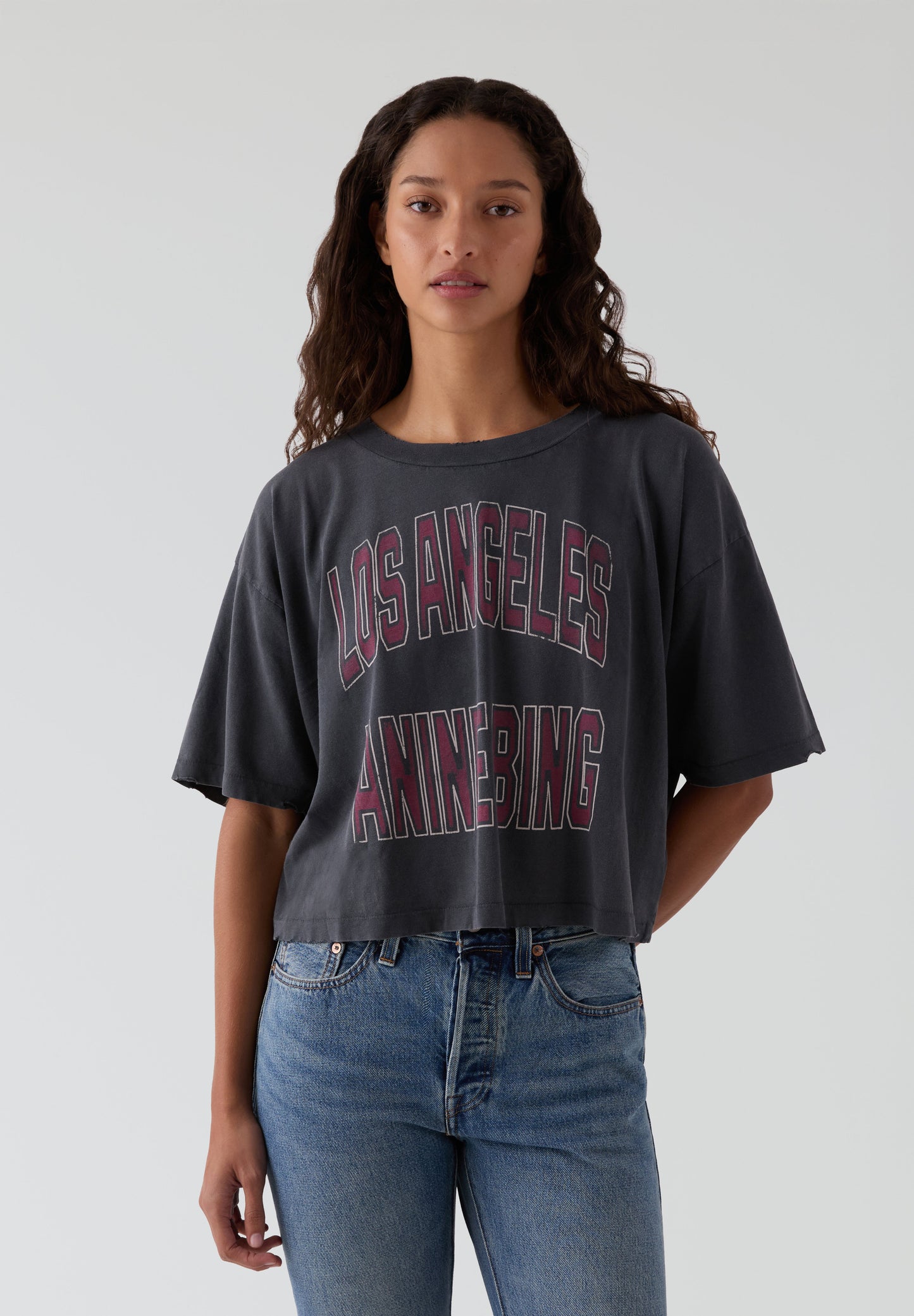 ANINE BING | T-SHIRT CROPPED JOHNNY