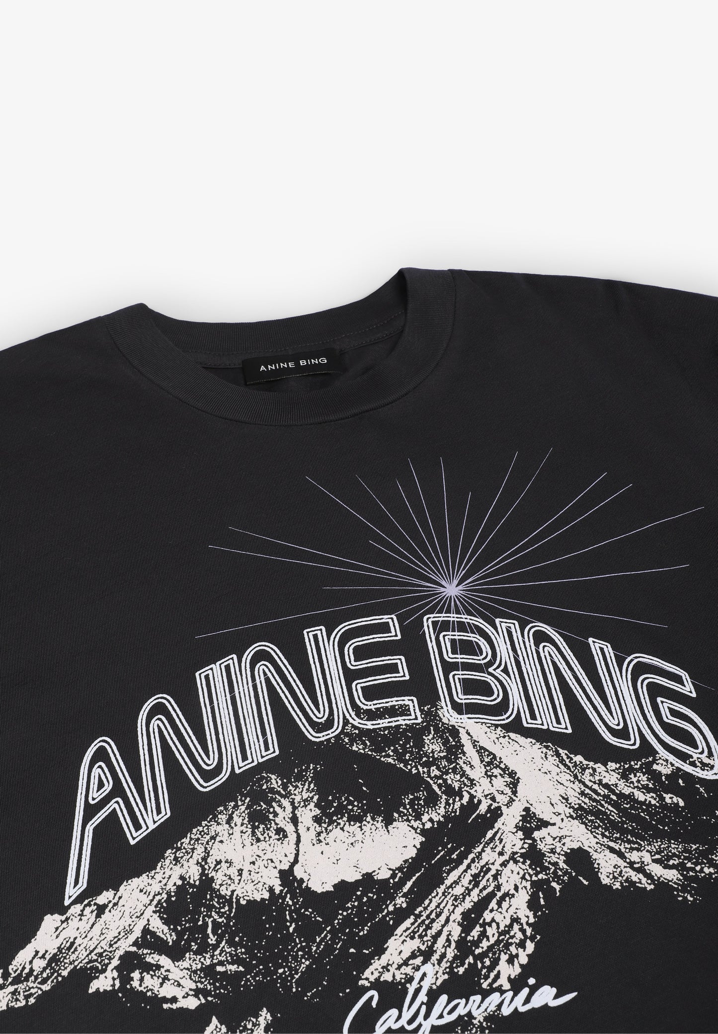 ANINE BING | T-SHIRT WALKER CALIFORNIA