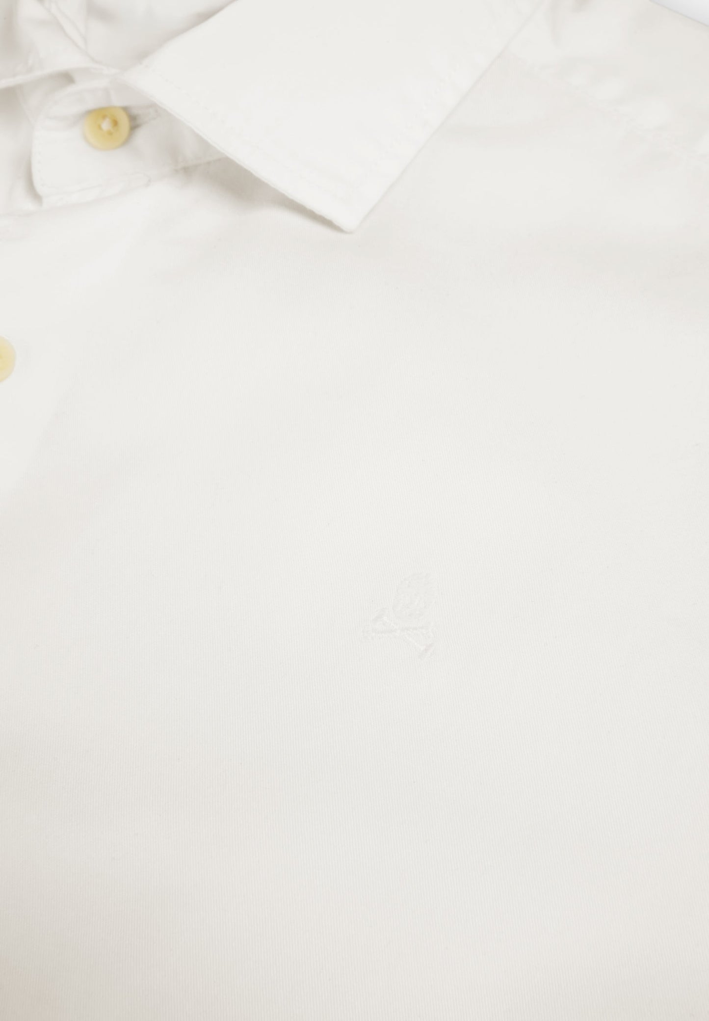CAMISA COM SKULL BORDADA NO TOM