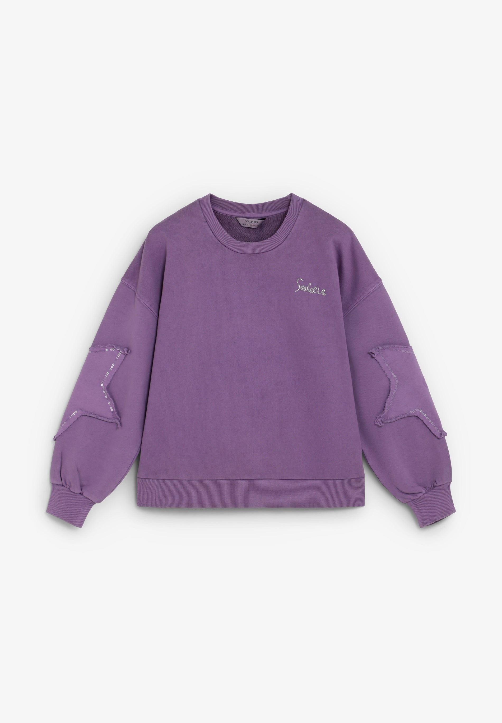 SWEATSHIRT COM PORMENOR NAS MANGAS