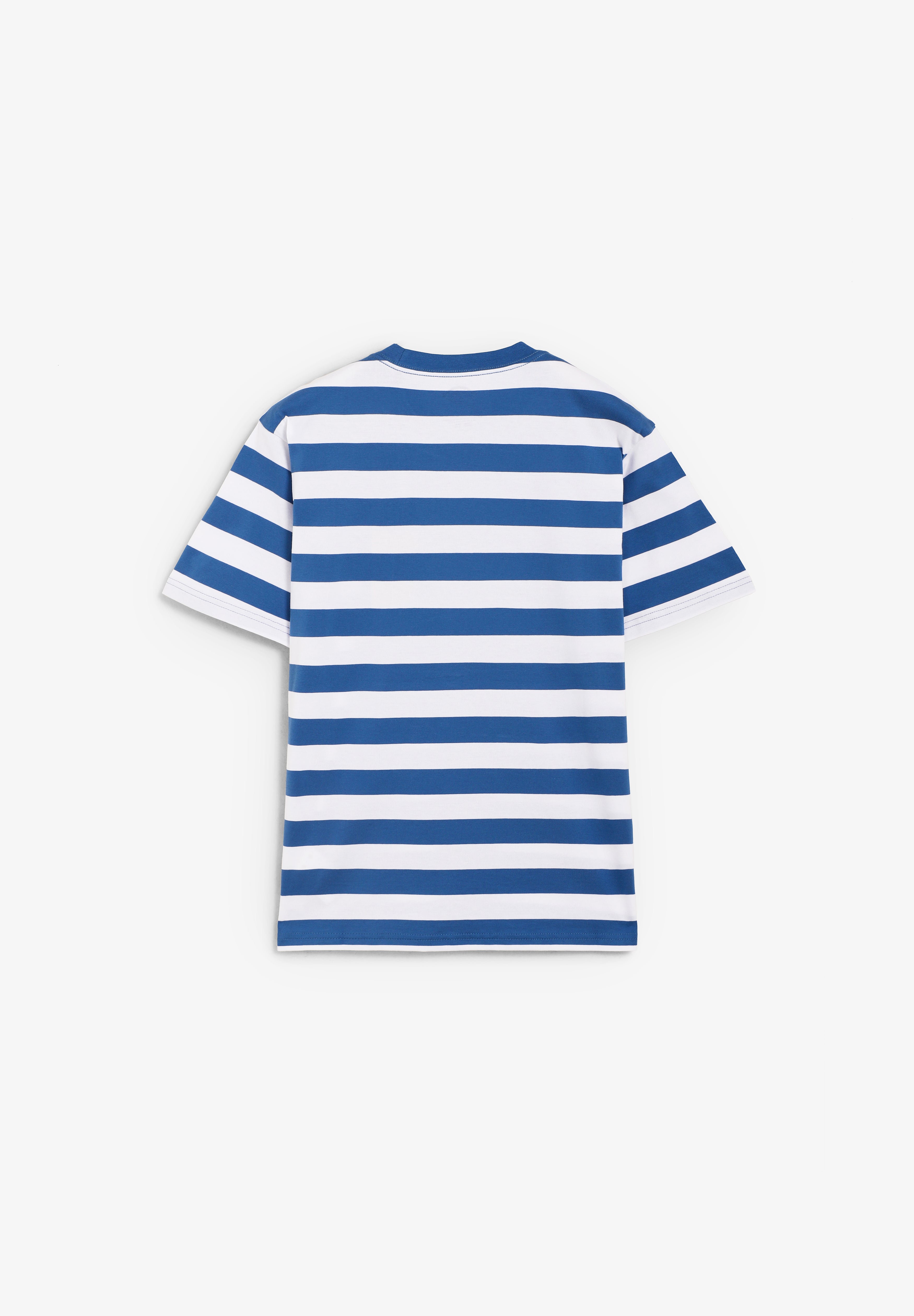 DICKIES | RIVERGROVE SS TEE