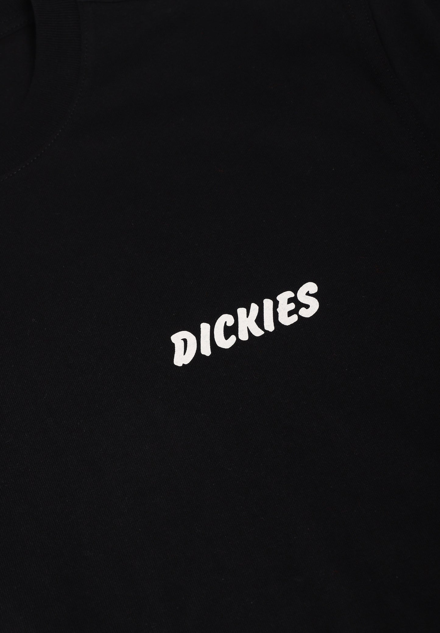 DICKIES | DRY RIDGE SS TEE