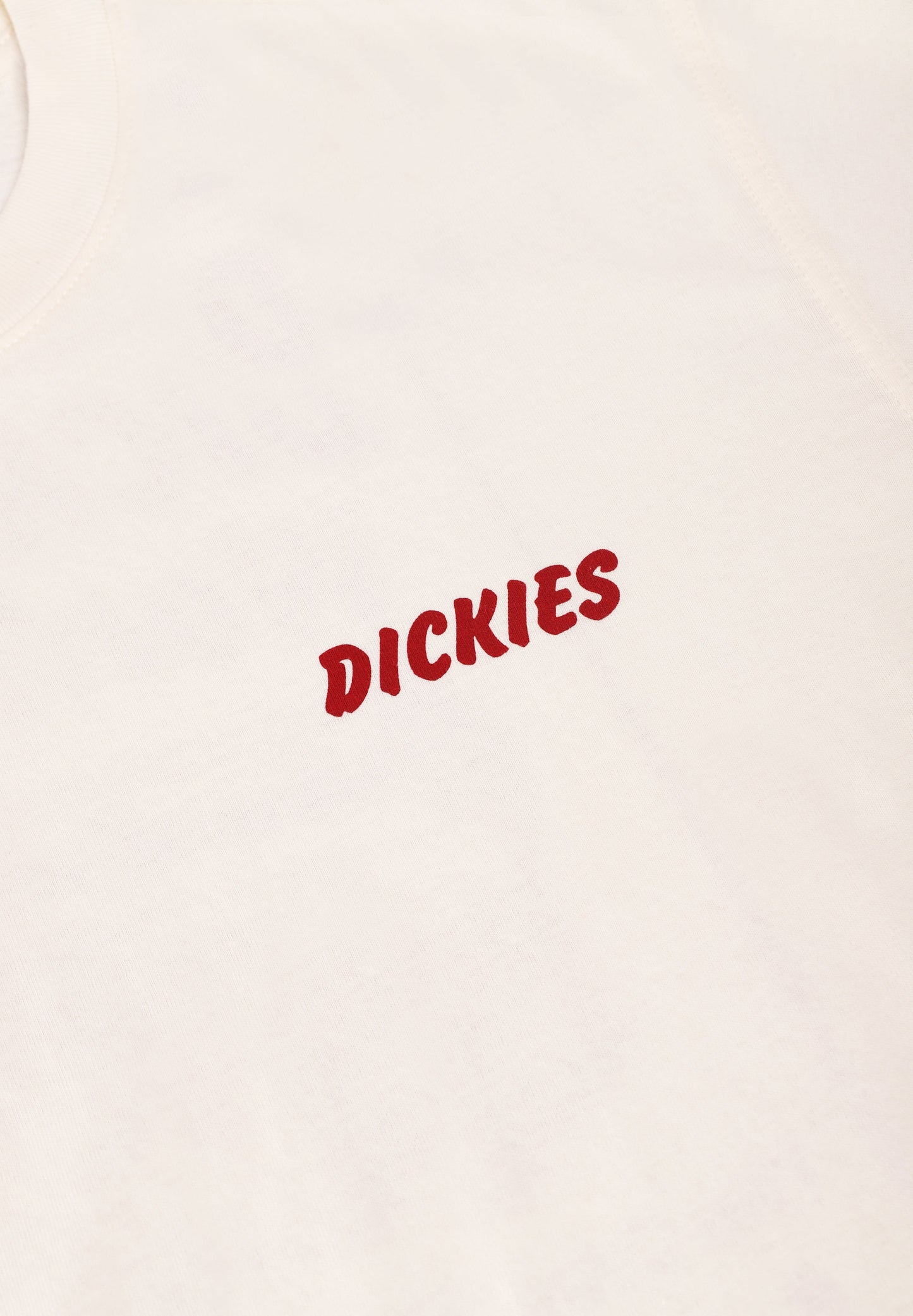 DICKIES | DRY RIDGE SS TEE