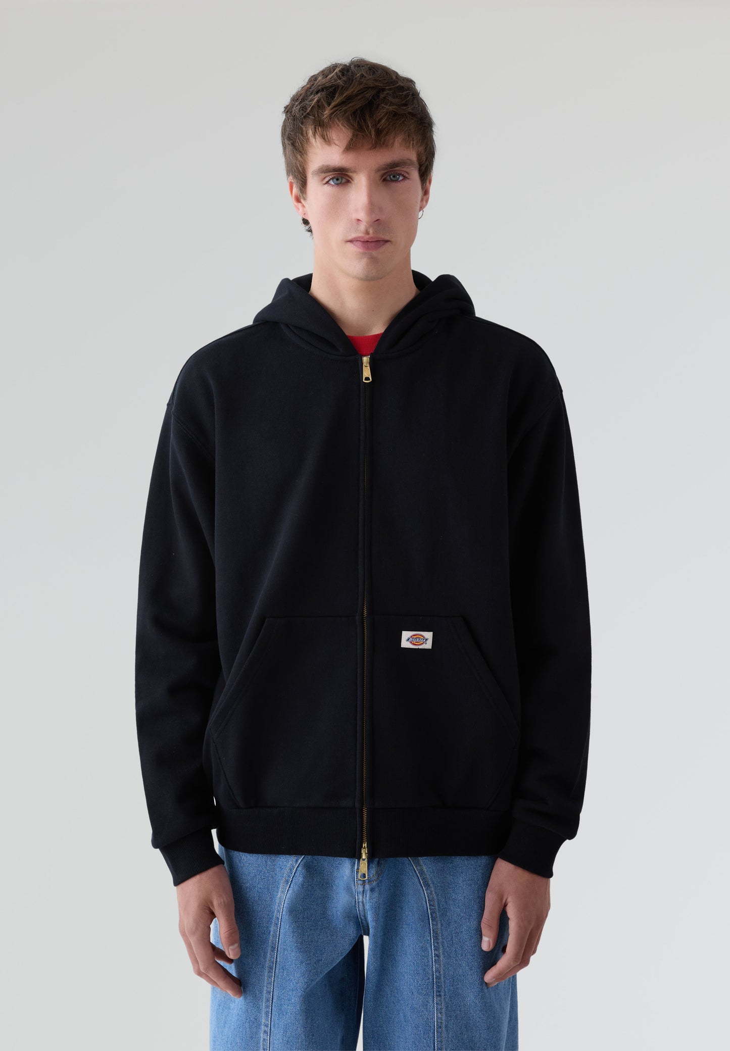 DICKIES | FOSTORIA FZ HOODIE