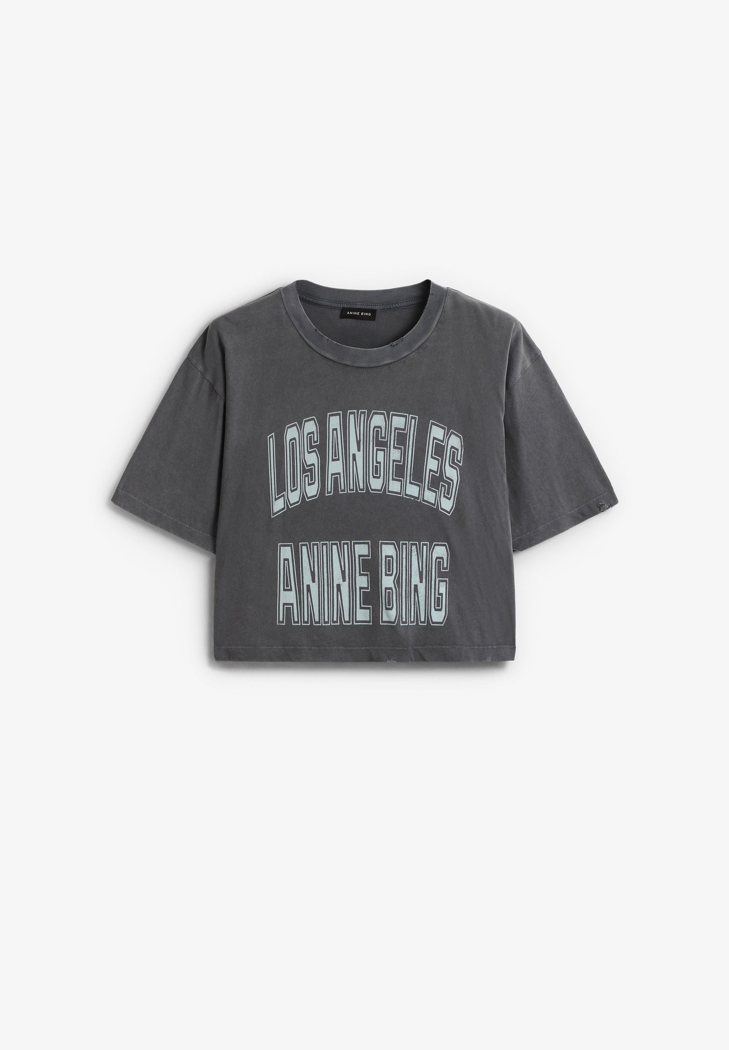 ANINE BING | JOHNNY CROPPED TEE