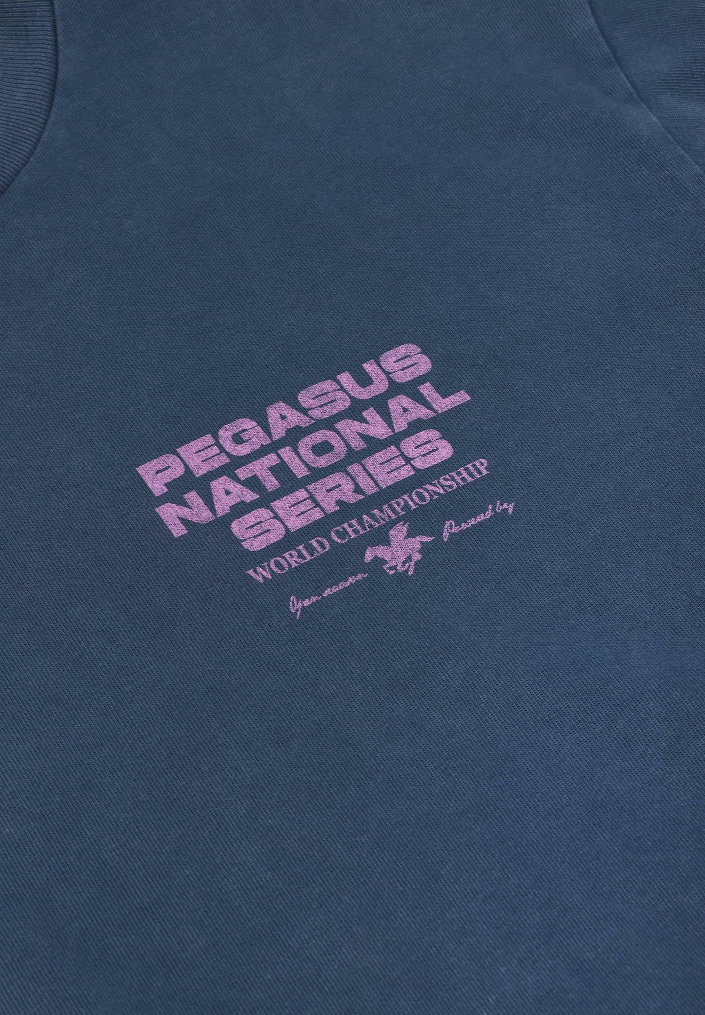 GOODIES SPORTIVE | T-SHIRT PEGASUS SERIES