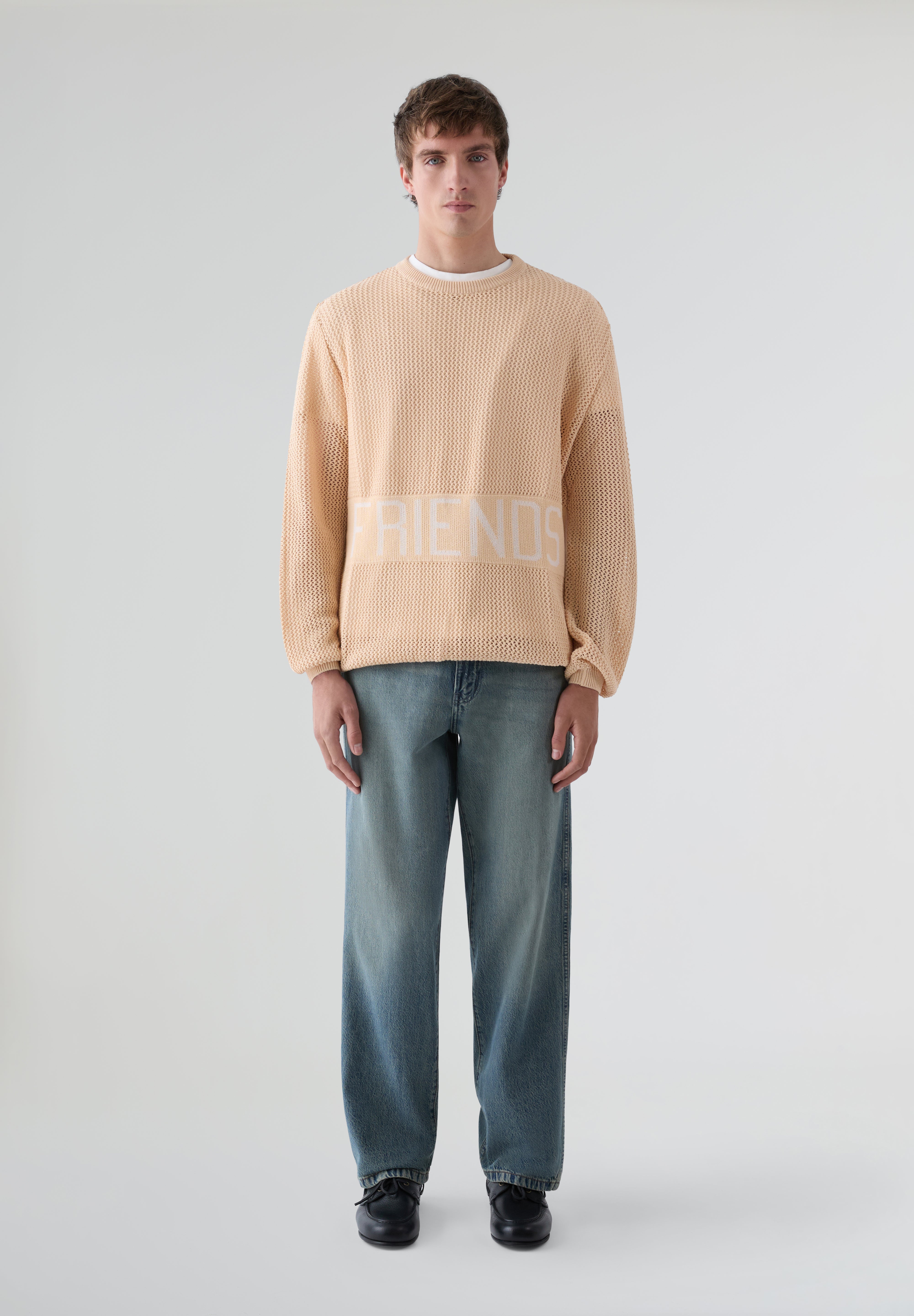 WE ARE NOT FRIENDS | FRIENDS KNIT SWEATER