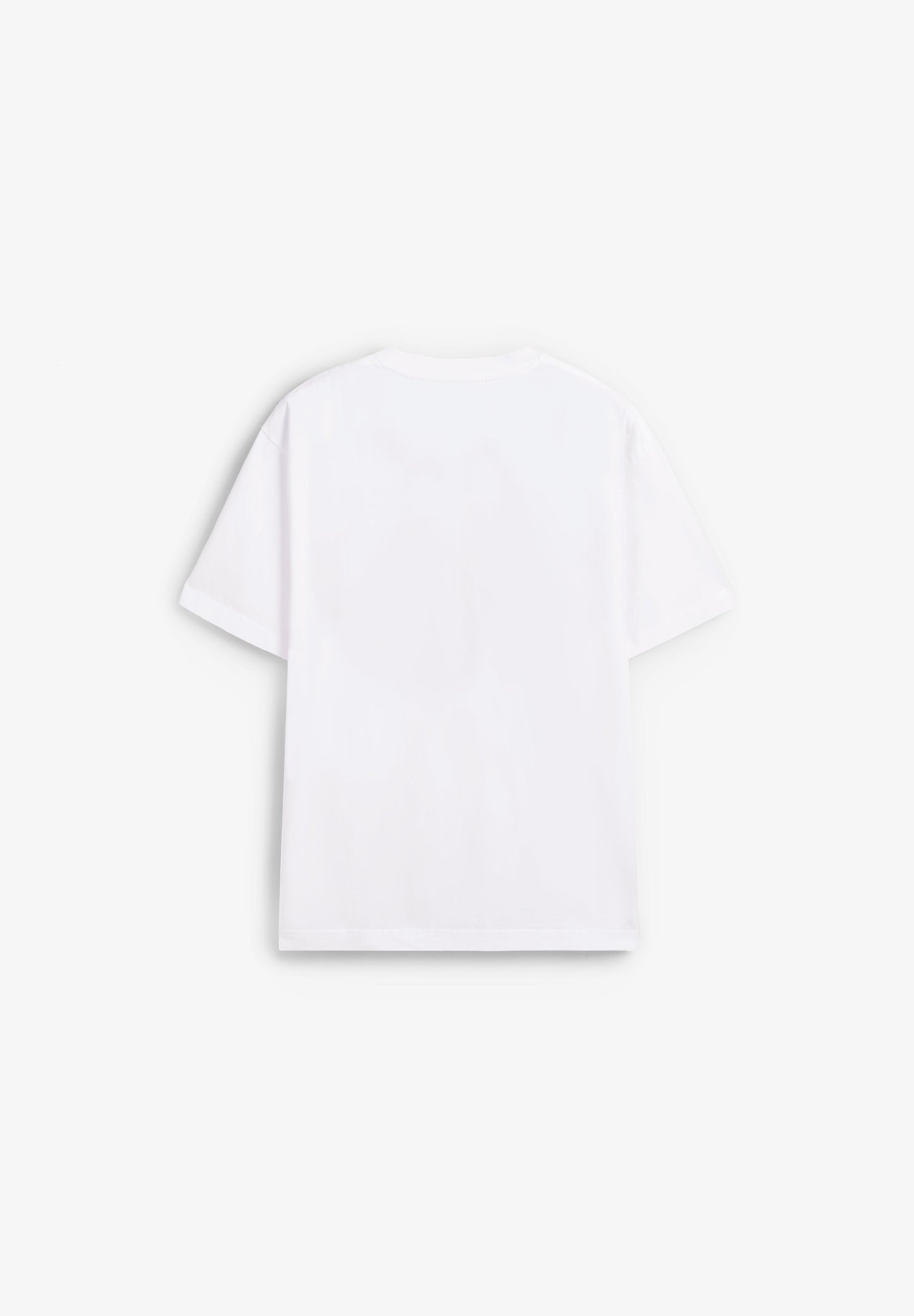 VANS | T-SHIRT SALTON LOOSE