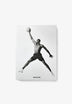 ASSOULINE | AIR JORDAN (CLASSIC)