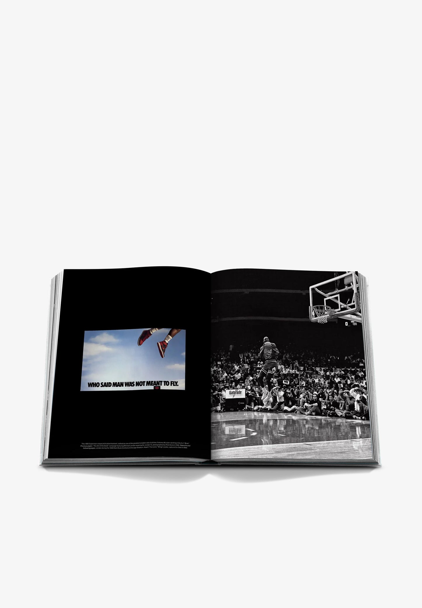 ASSOULINE | AIR JORDAN (CLASSIC)