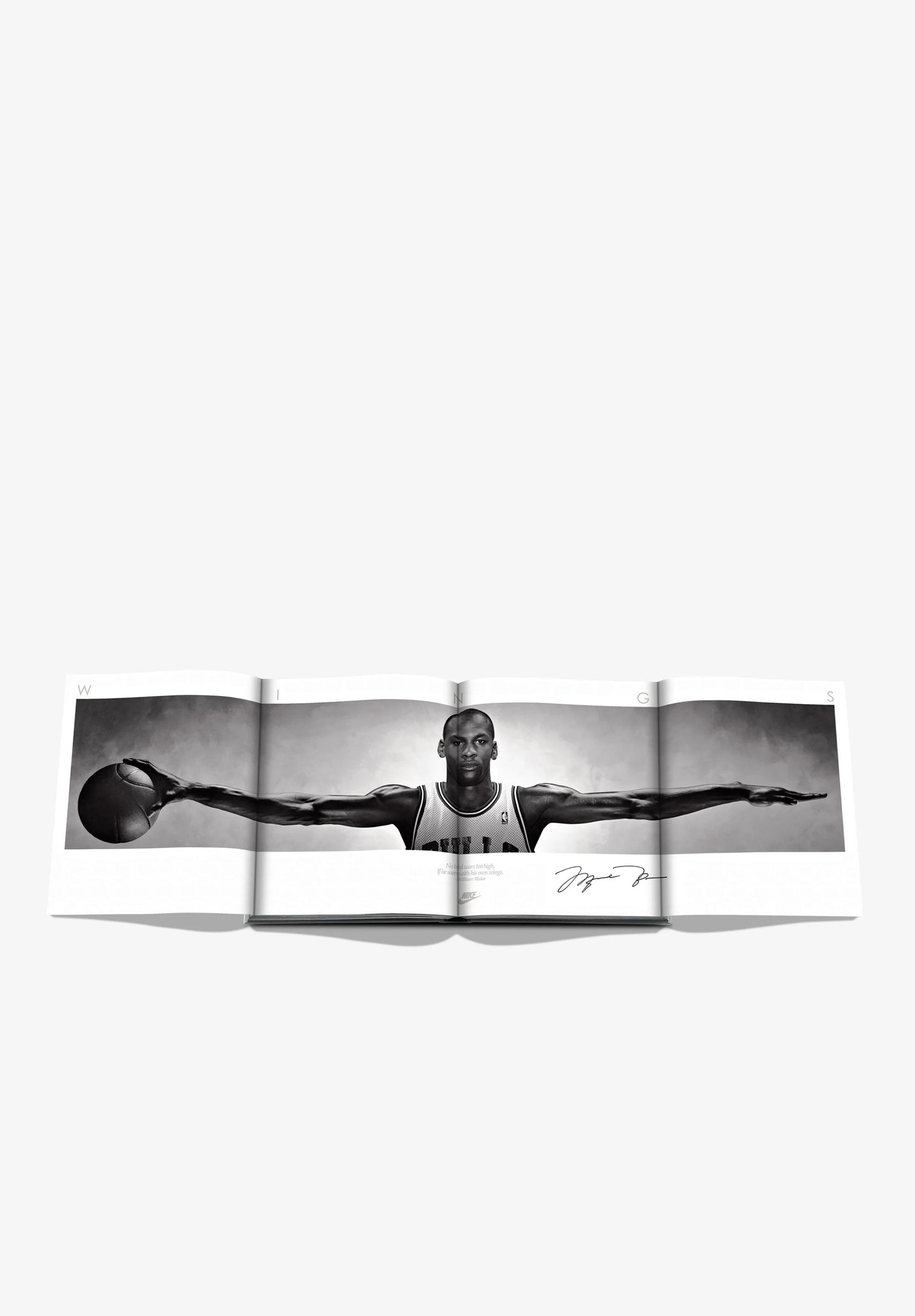 ASSOULINE | AIR JORDAN (CLASSIC)