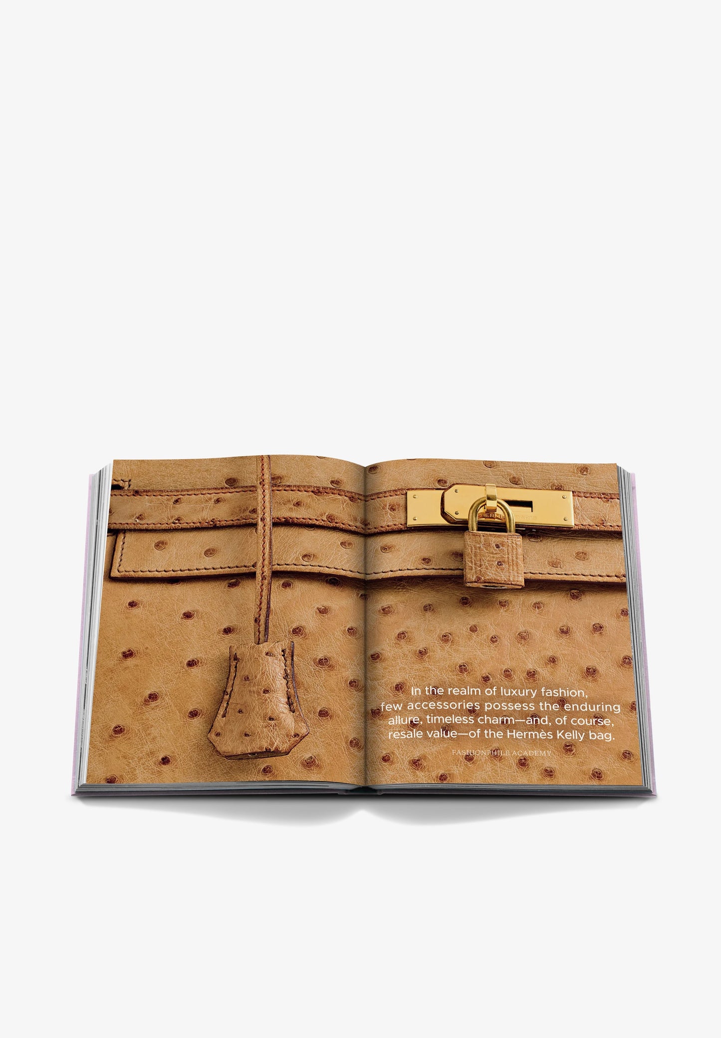 ASSOULINE | LIVRO FASHIONPHILE, THE BOOK OF ICONIC BAGSPINK