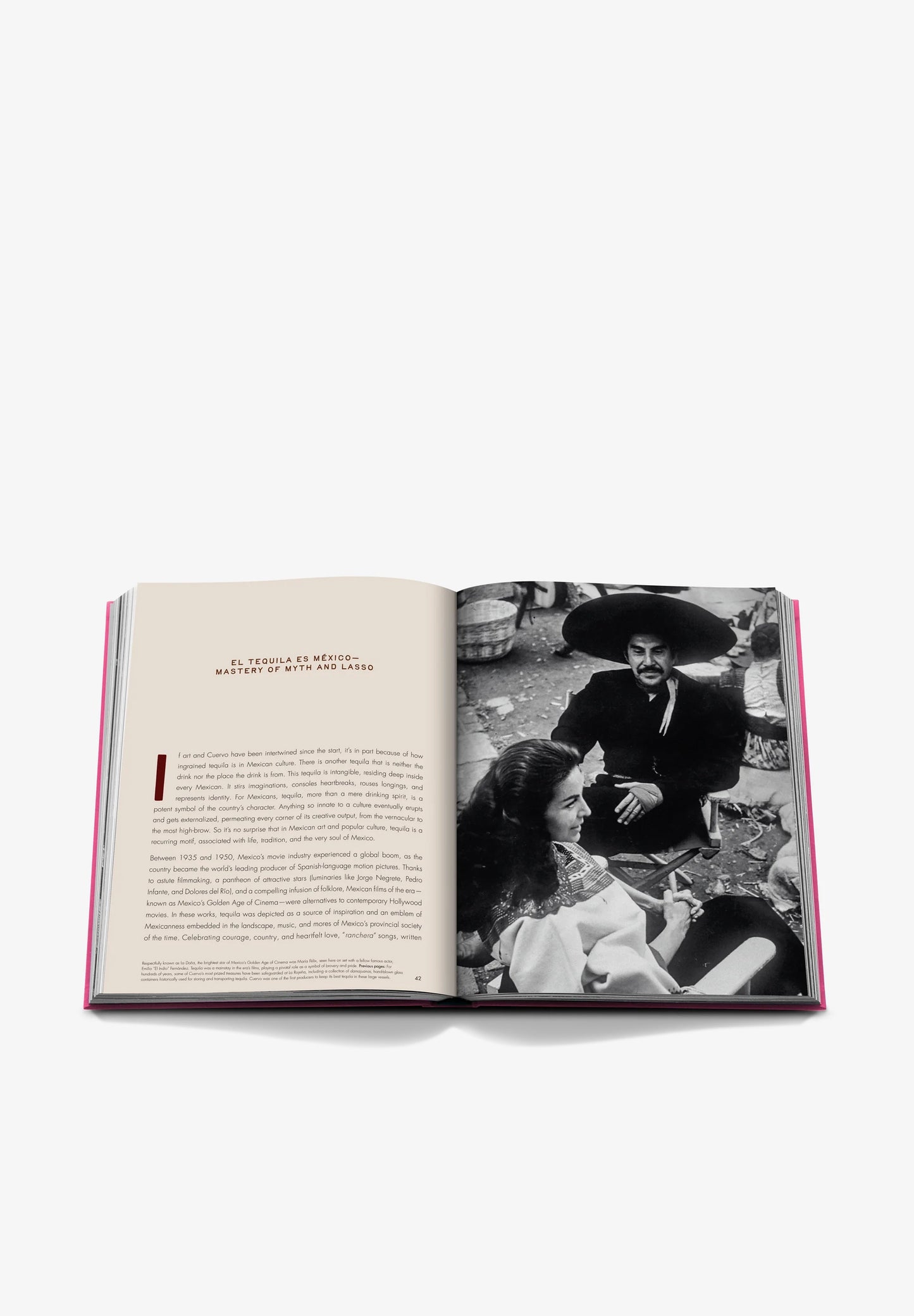 ASSOULINE |  THE ART OF TEQUILA: SPIRIT OF MEXICO