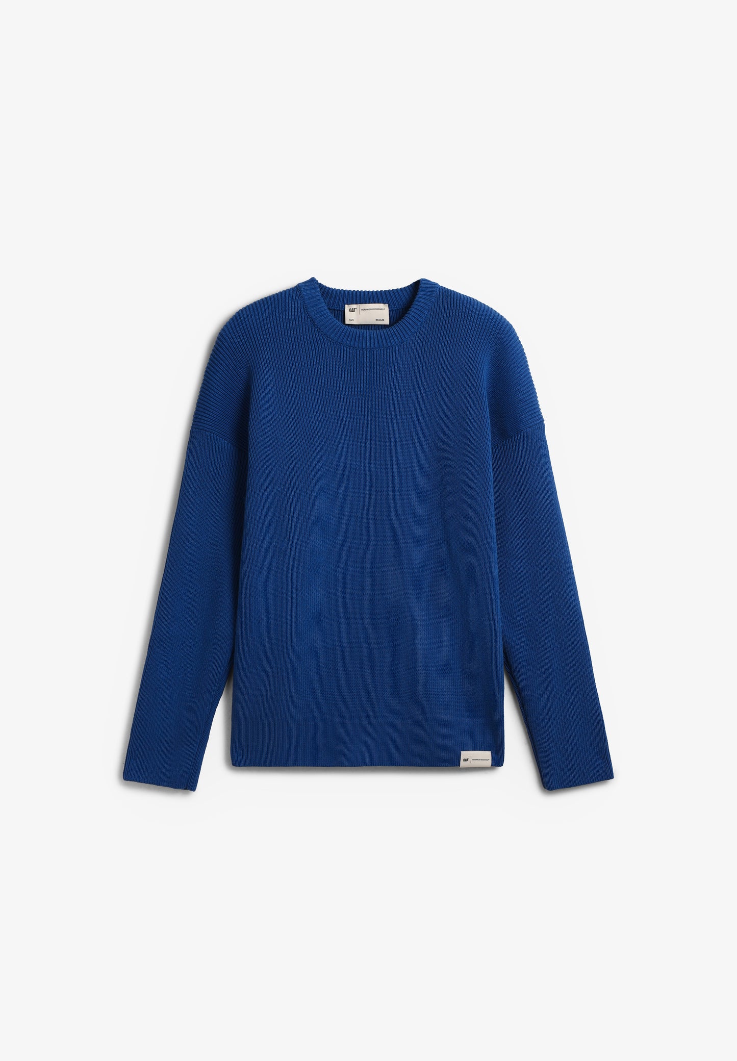 CAT | SWEATER PAST AND FUTURE BACK