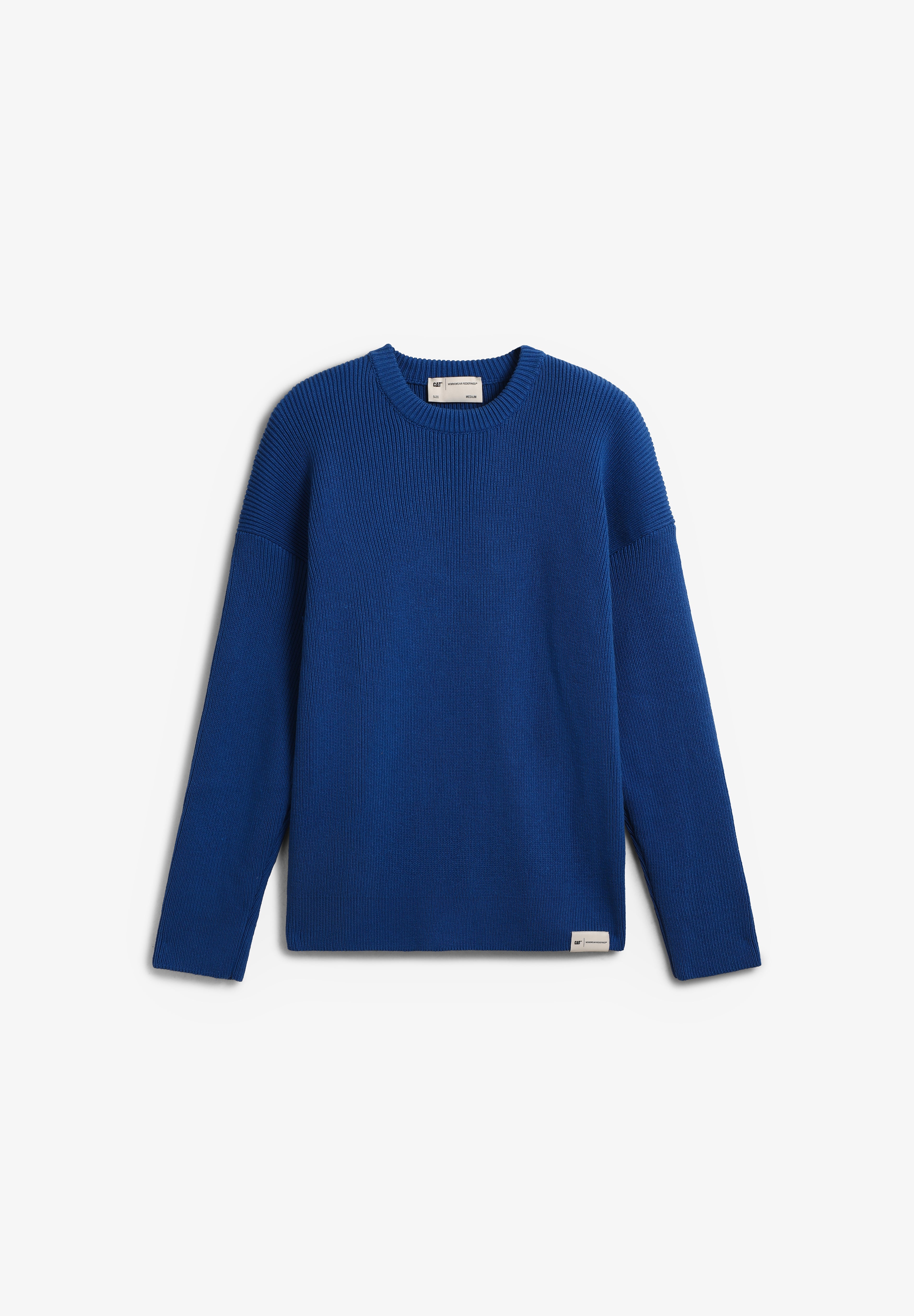 CAT | SWEATER PAST AND FUTURE BACK
