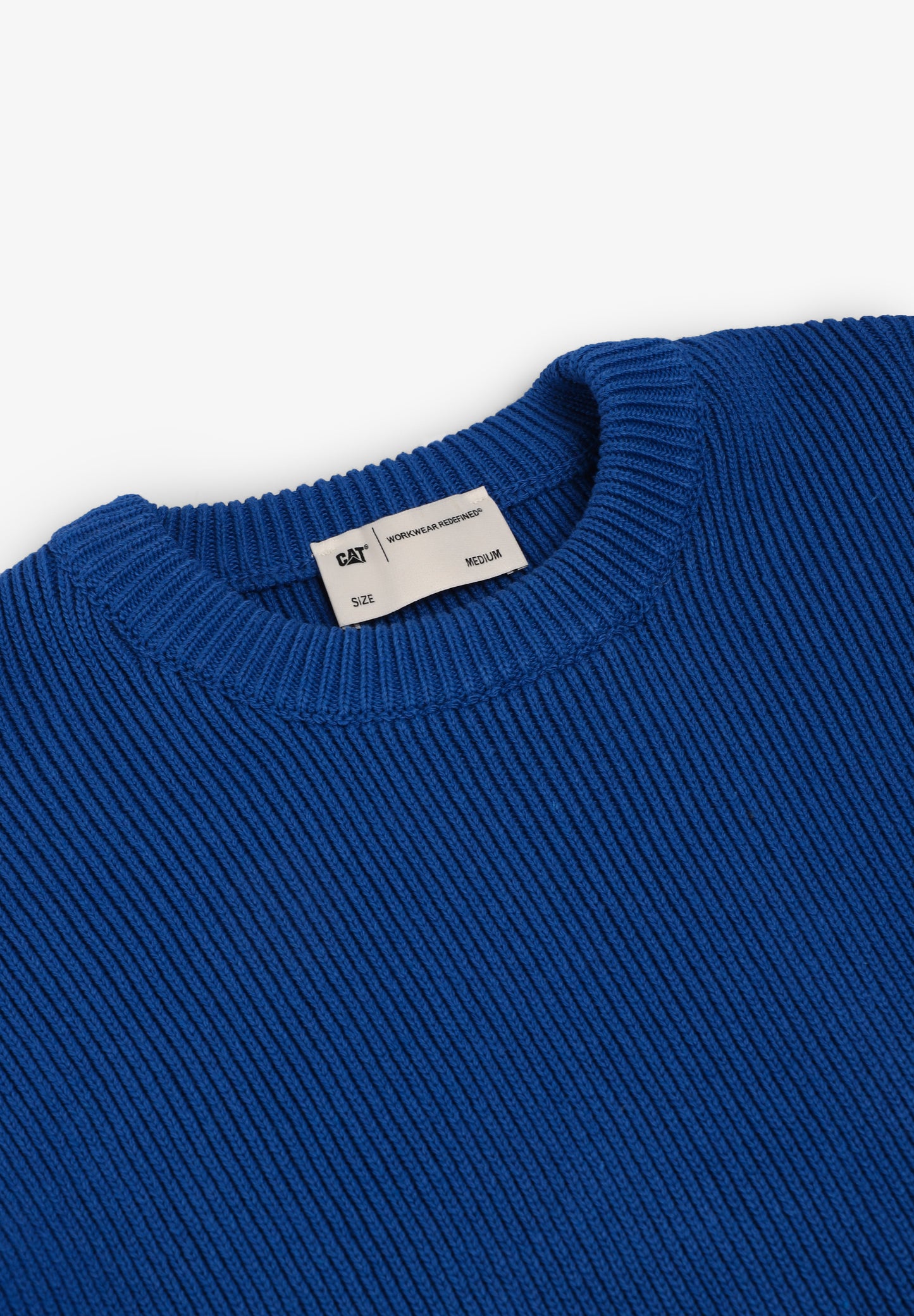 CAT | SWEATER PAST AND FUTURE BACK