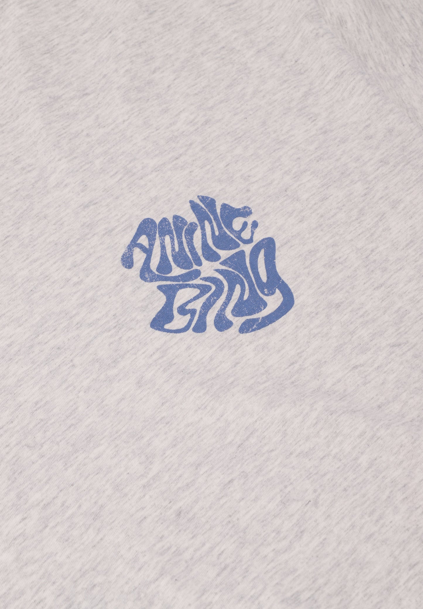 ANINE BING | CADE TEE WAVE