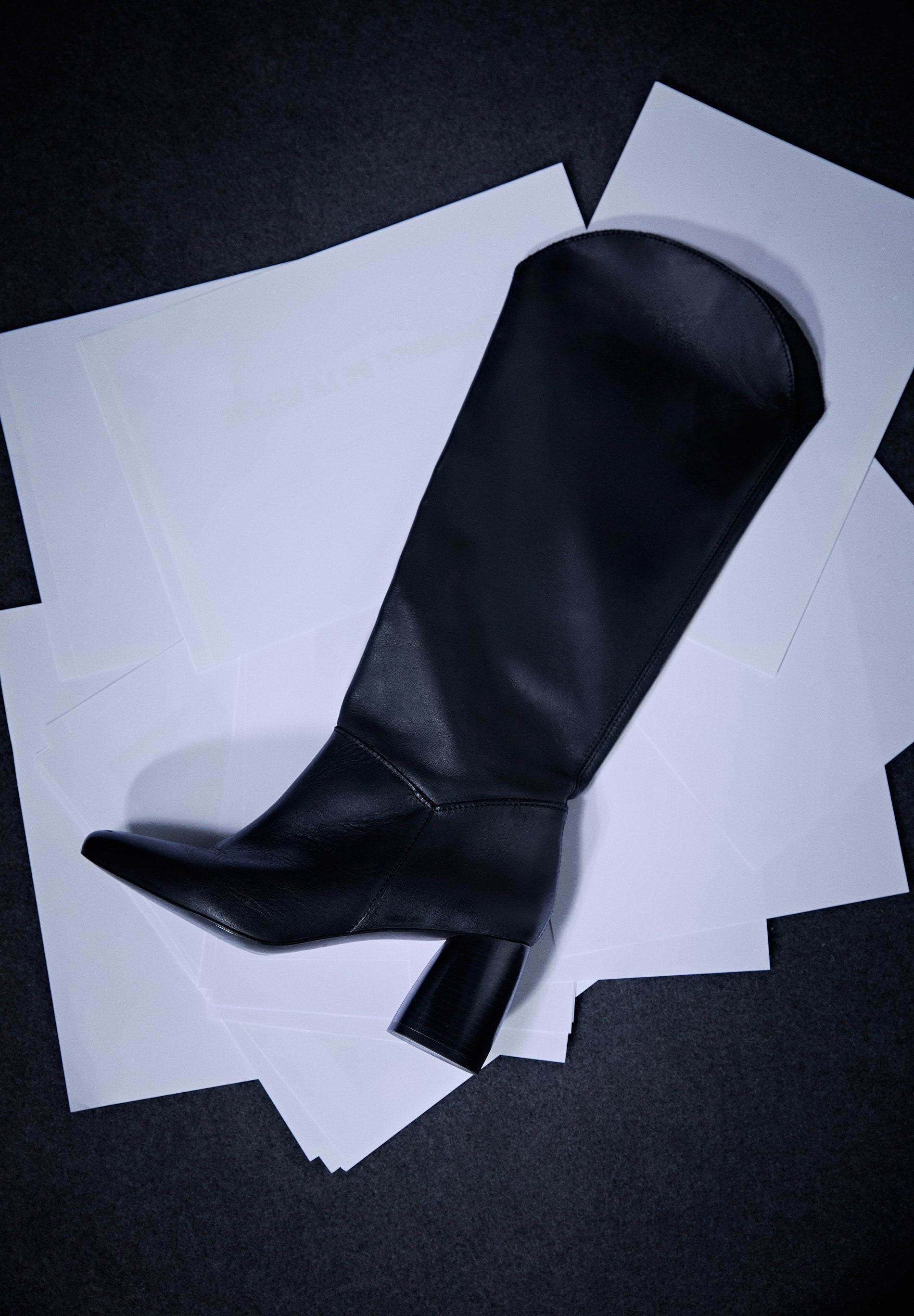 BOTAS ALTAS COM TACÃO EM PELE
