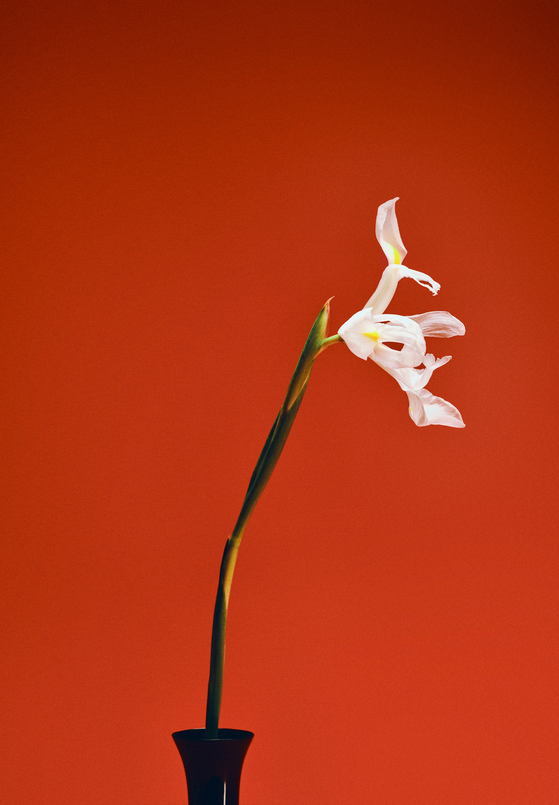 BOLSA DE PELE TRANÇADA