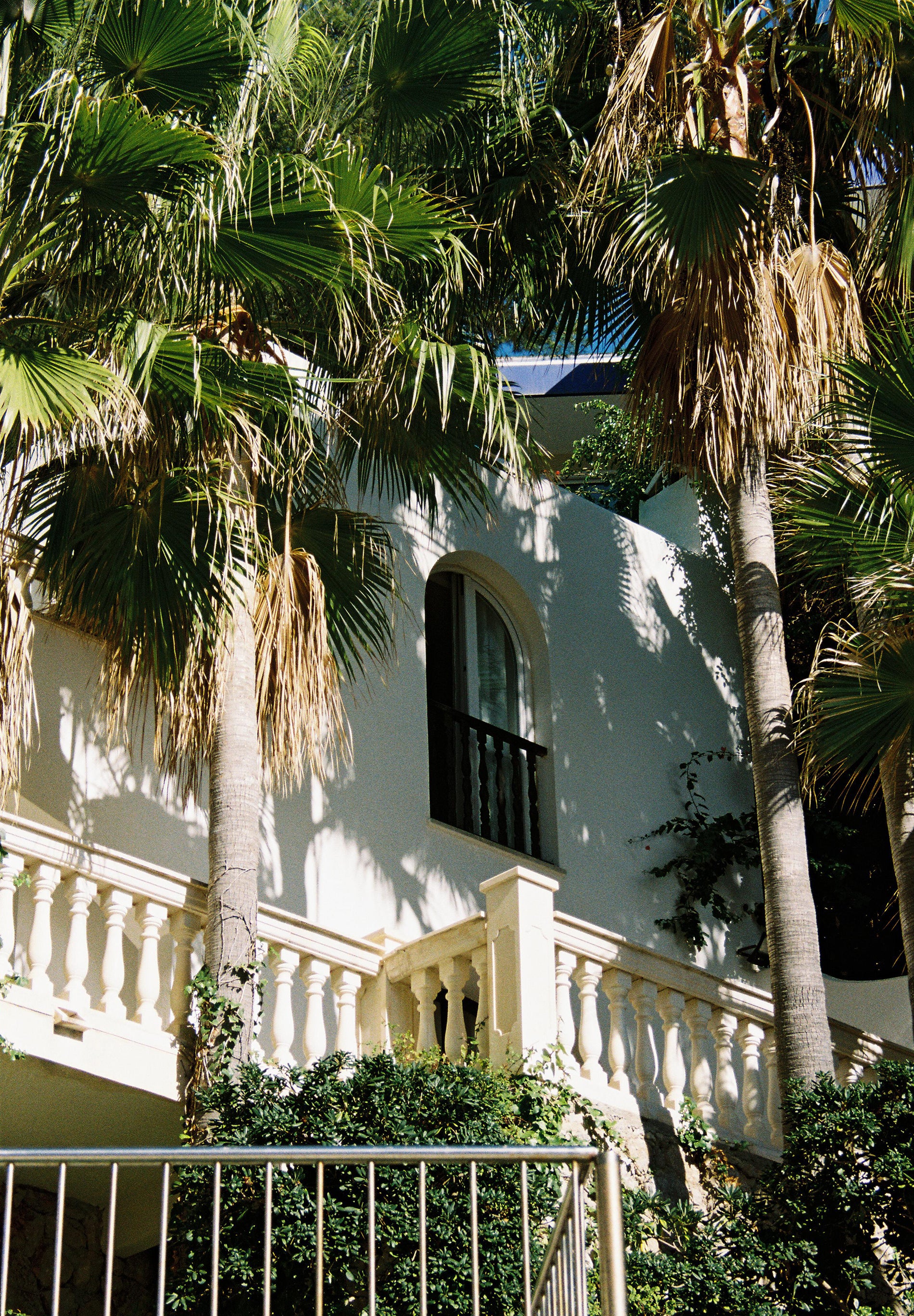 BIQUÍNI BALCONETTE ZEBRA