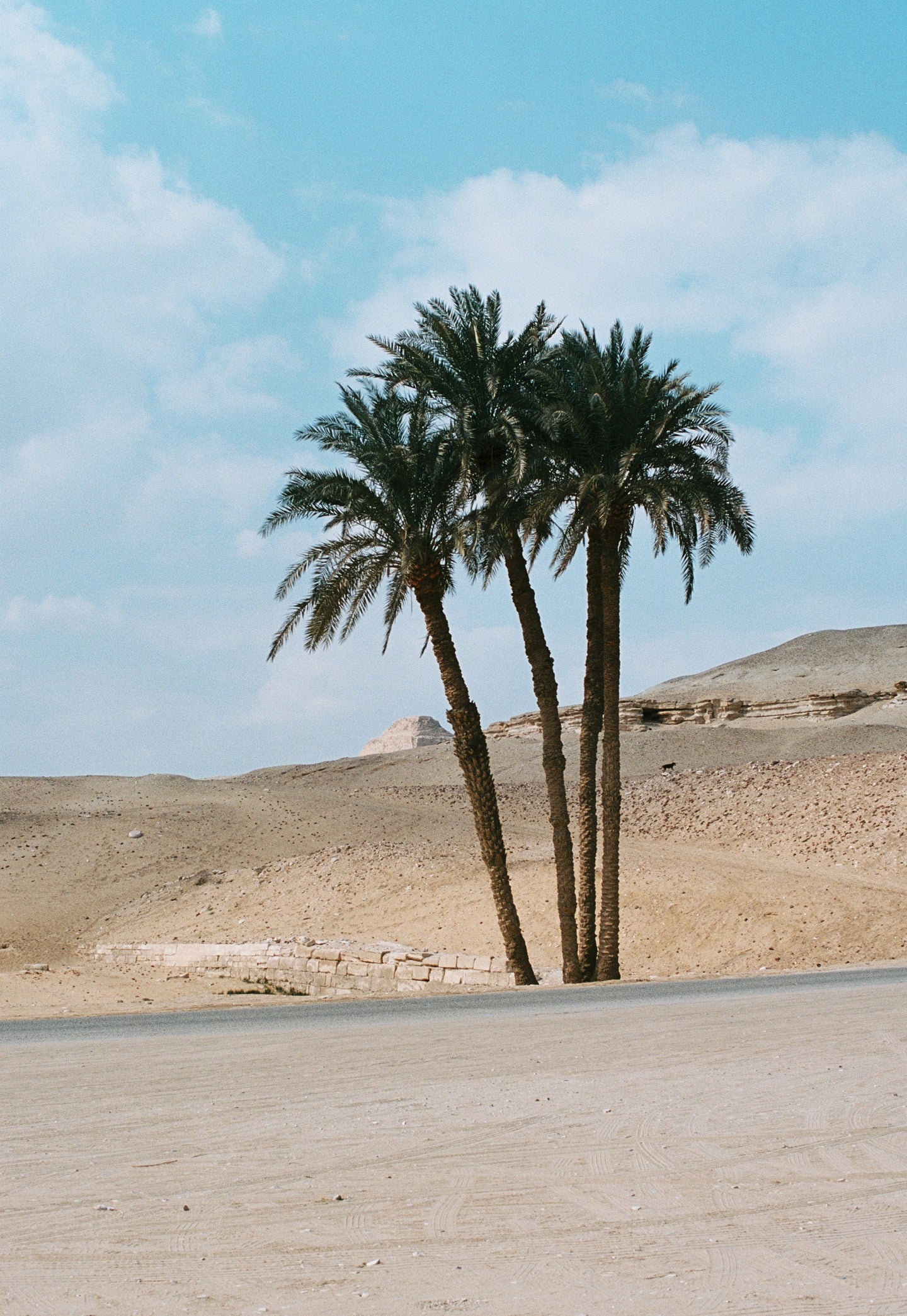COLETE ASSIMÉTRICO BROCADO
