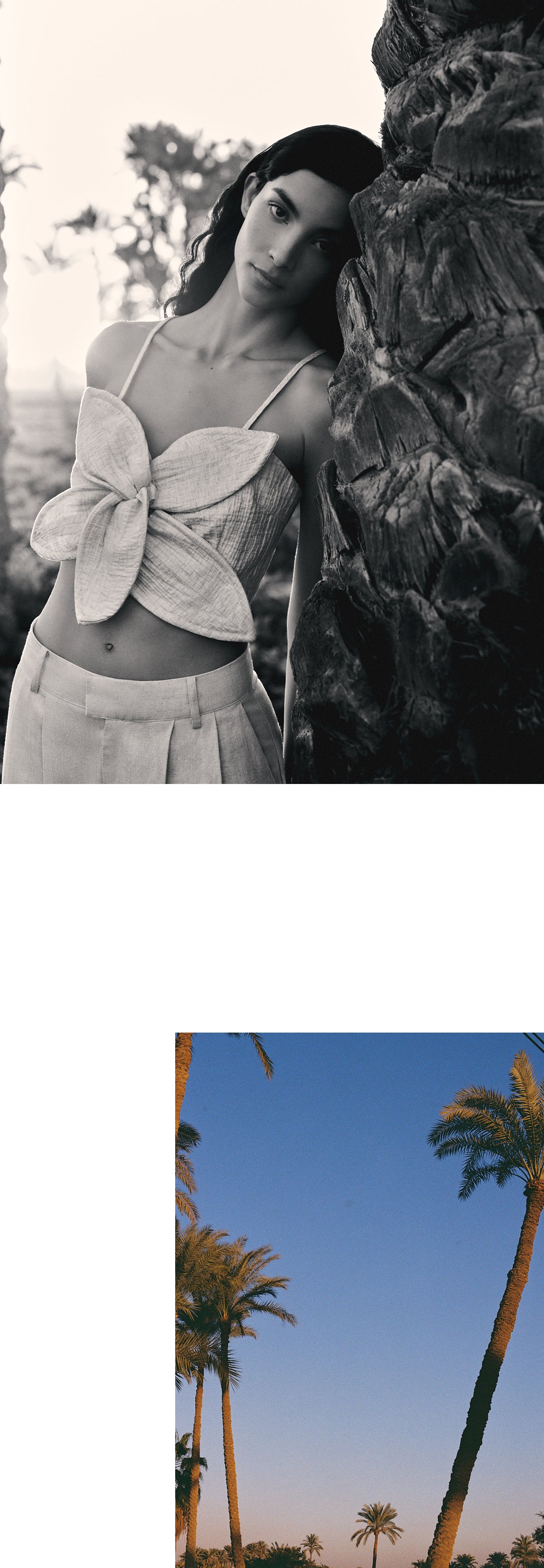 mob_150326_cairo_m_20